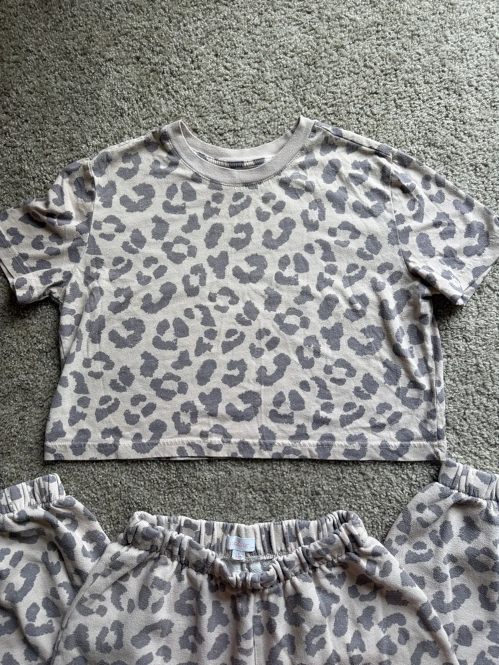 Colsie Leopard Print Set - Picture 2 of 4